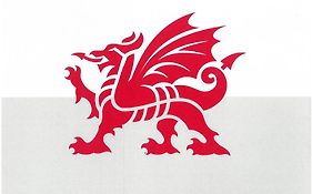 Dafarn Newydd Studio